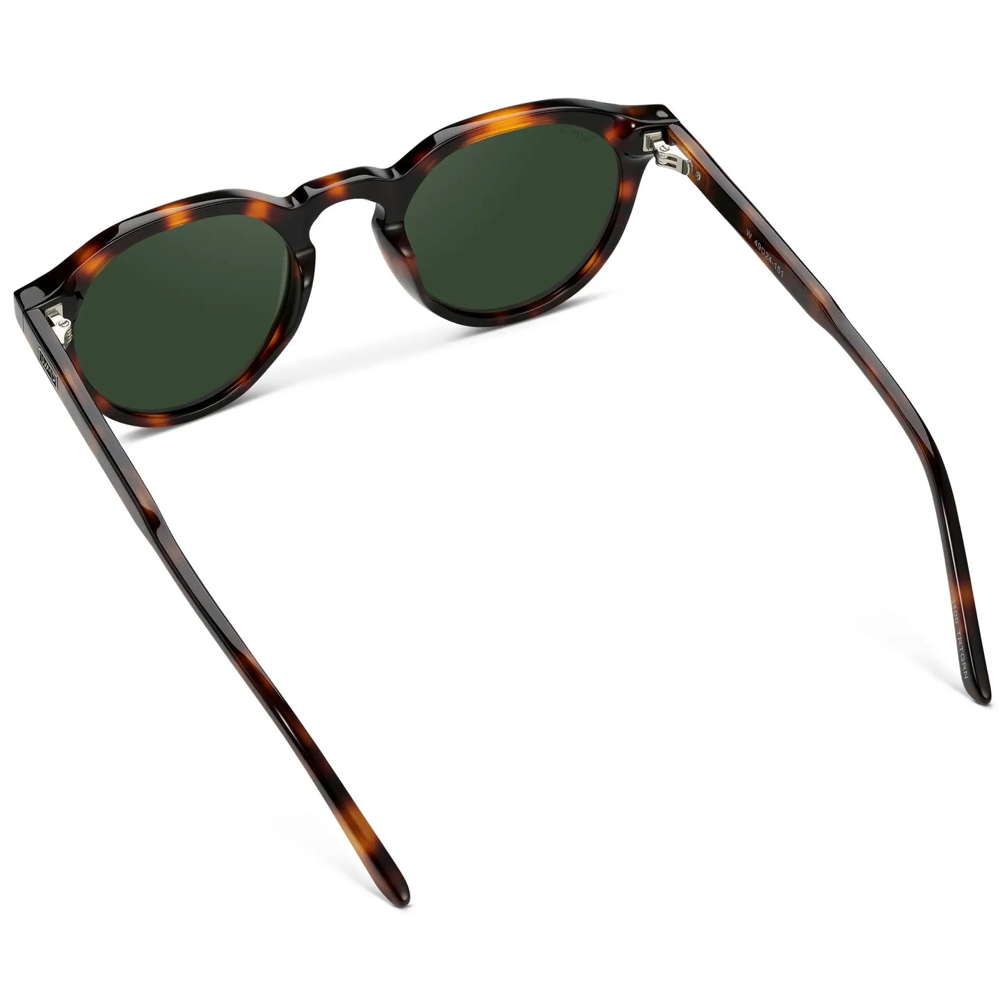 Ralph | Polarized