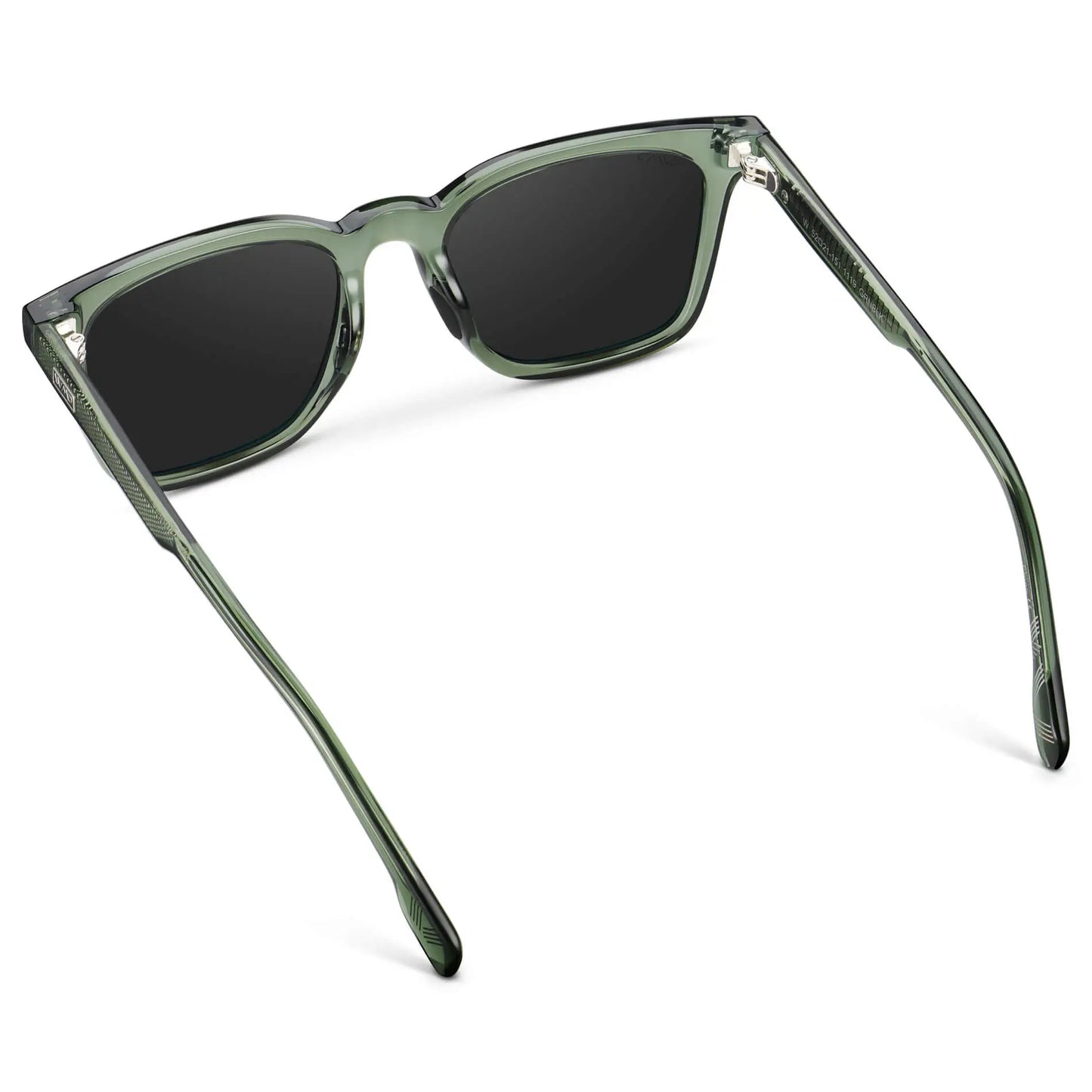 Chip | Polarized