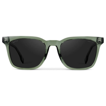Chip | Polarized