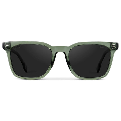 Chip | Polarized