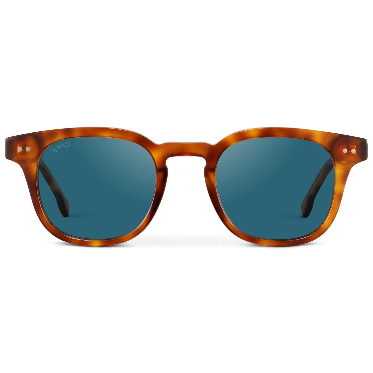 Clark | Polarized