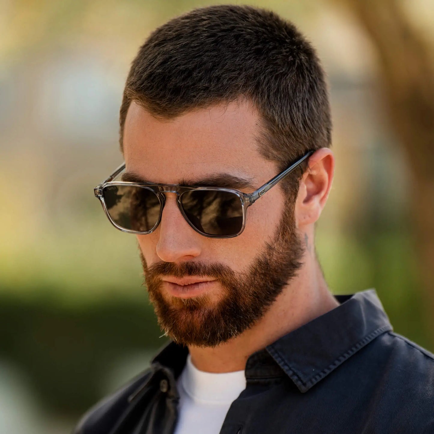 Emerson | Polarized