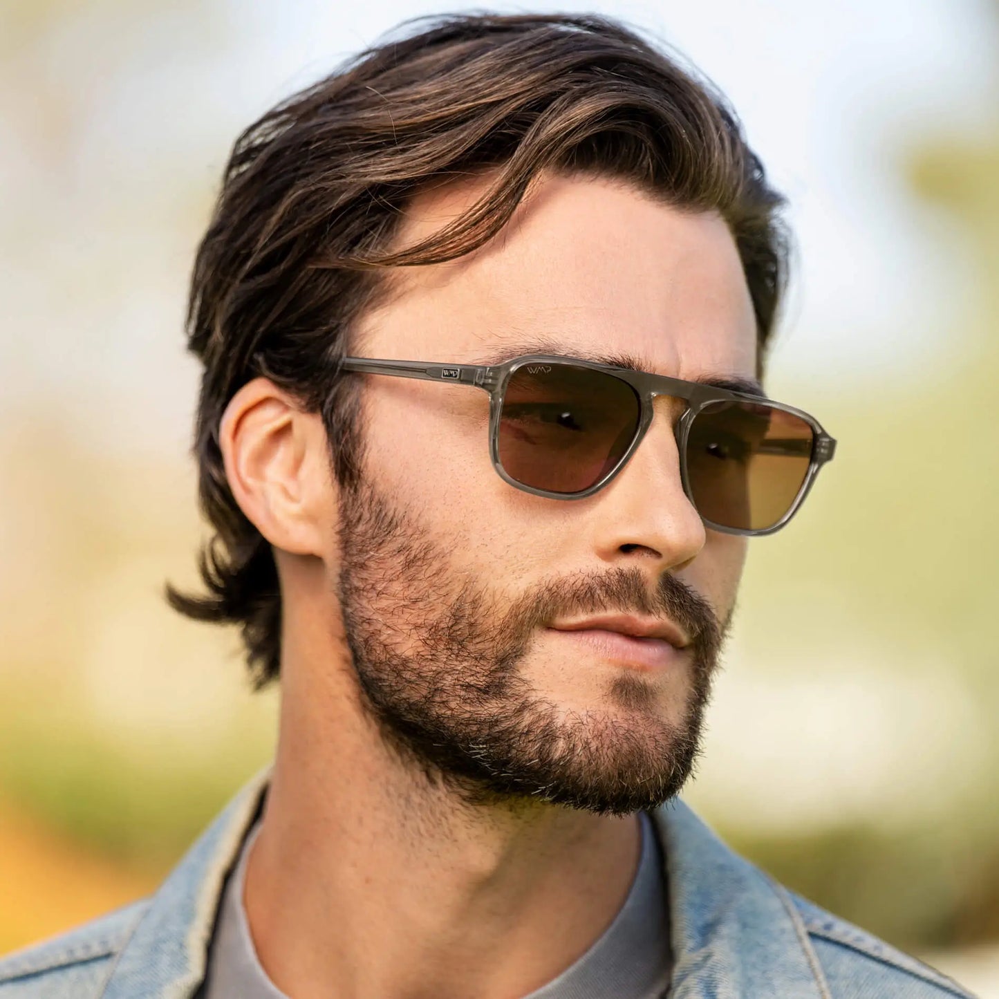 Emerson | Polarized