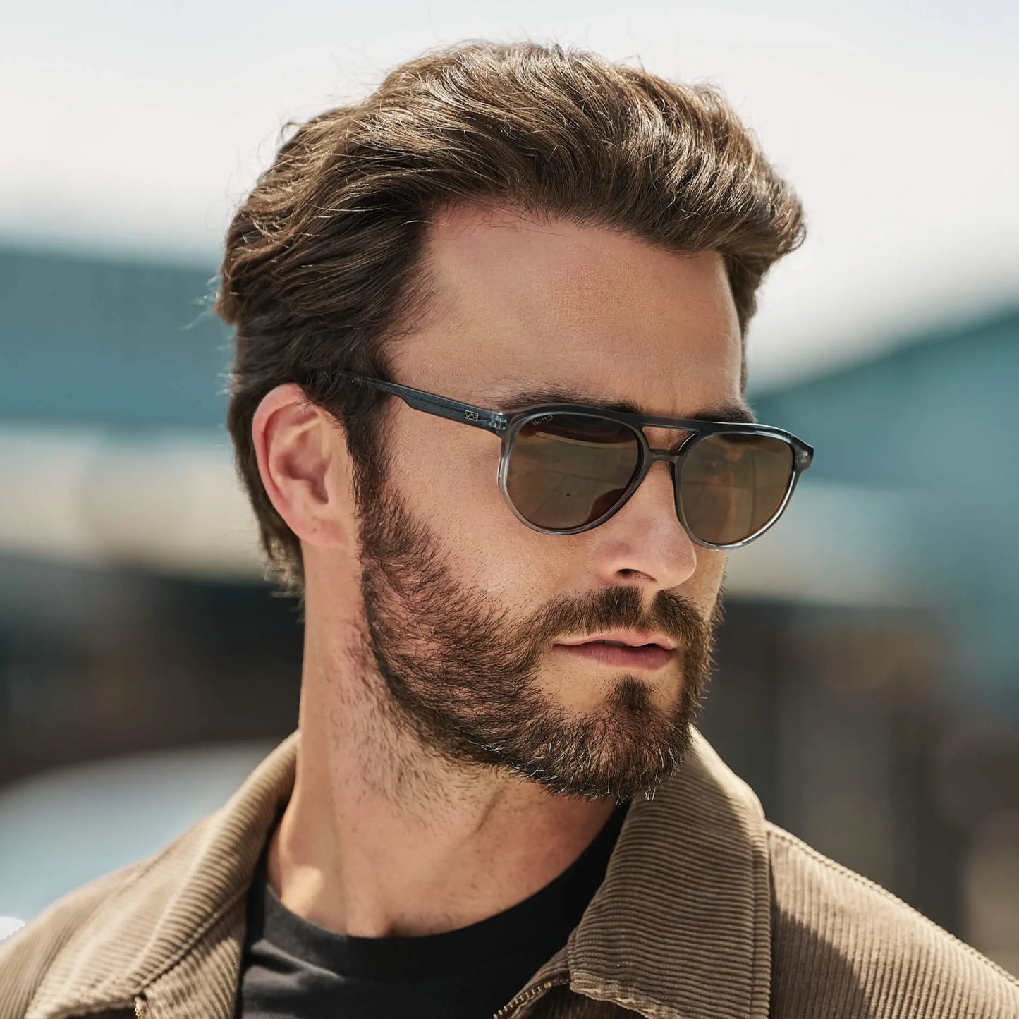 Hudson | Polarized