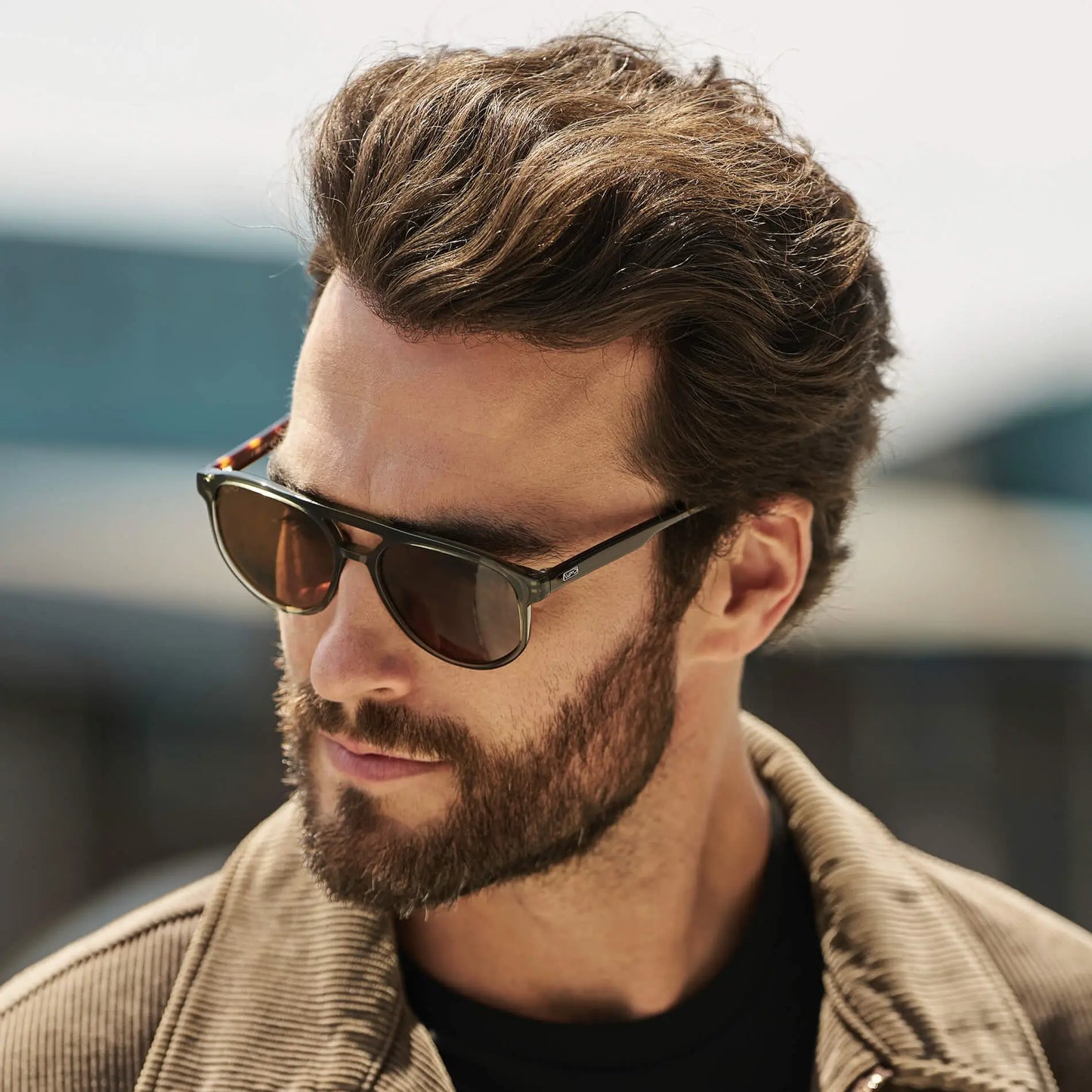 Hudson | Polarized