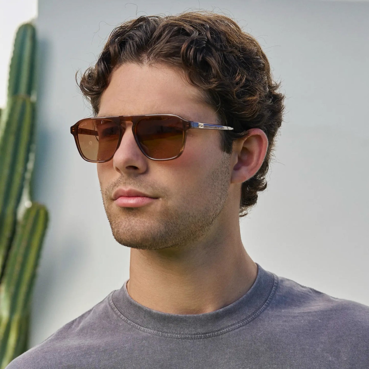 Emerson | Polarized