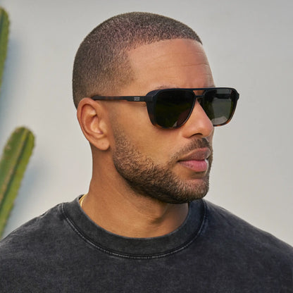 Harvey | Polarized