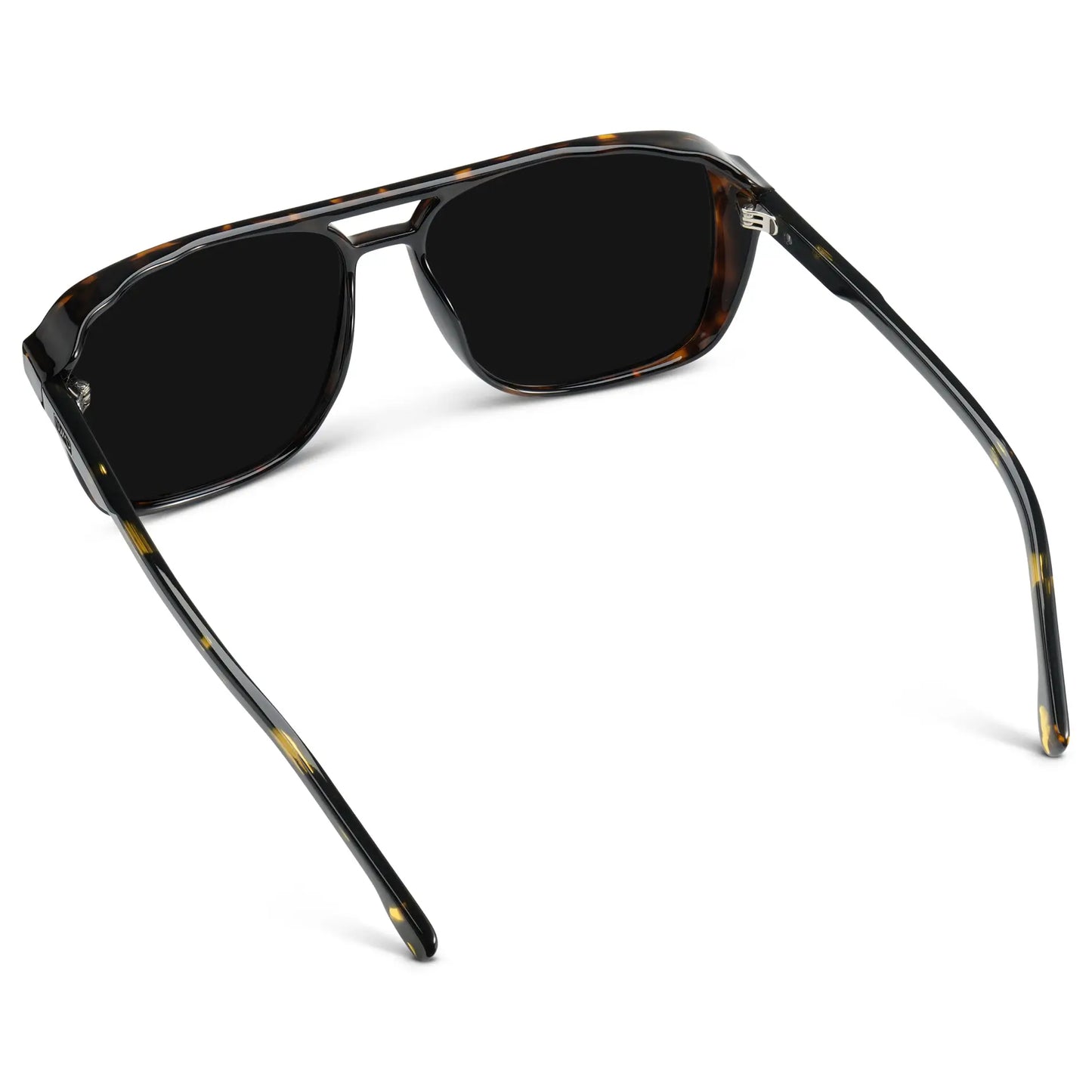 Harvey | Polarized