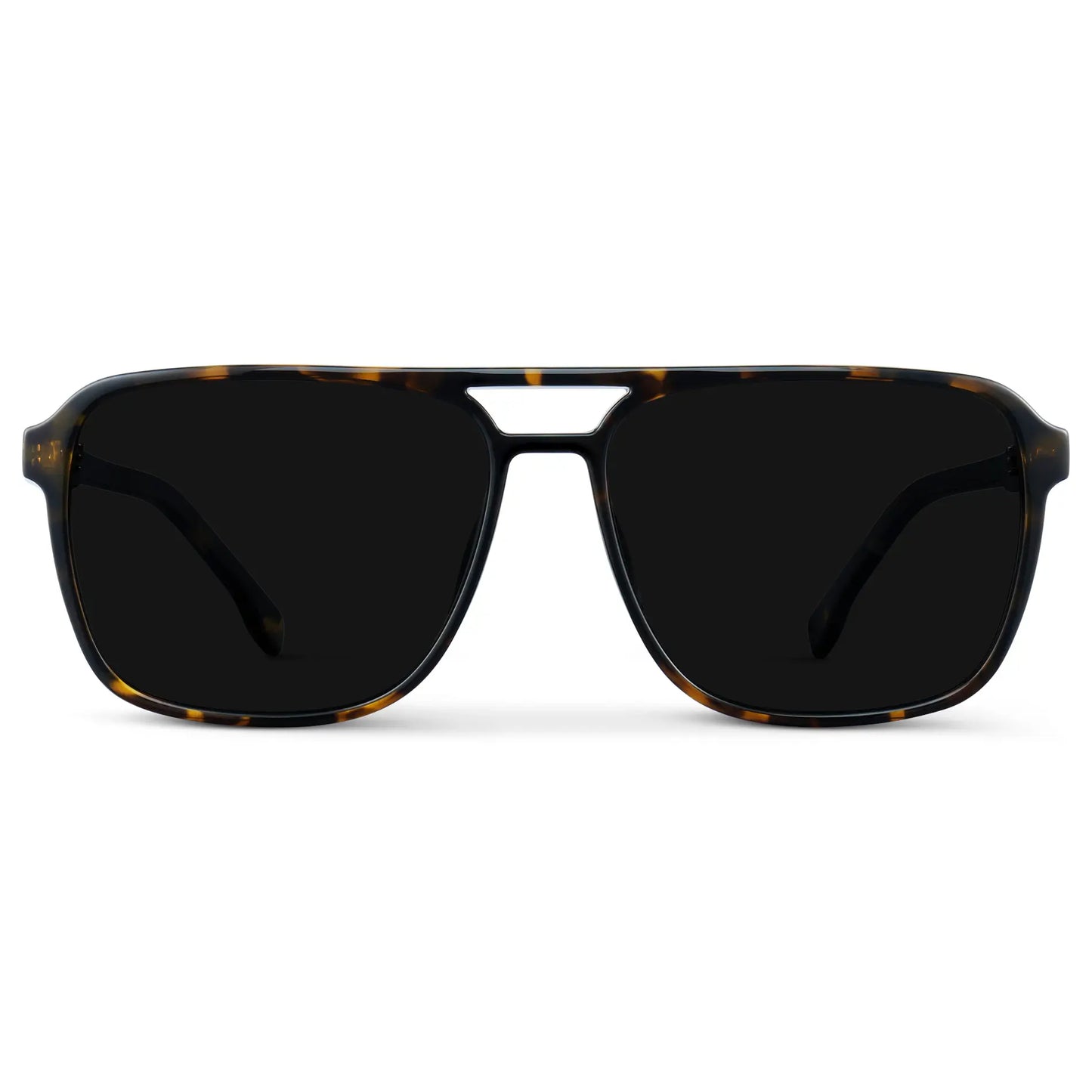 Harvey | Polarized