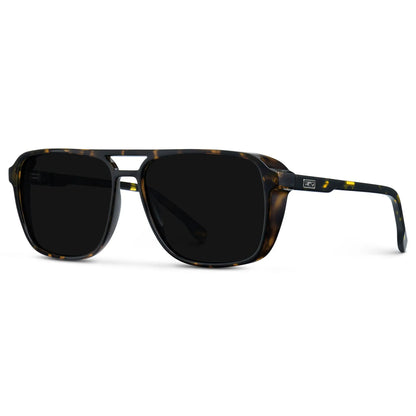 Harvey | Polarized