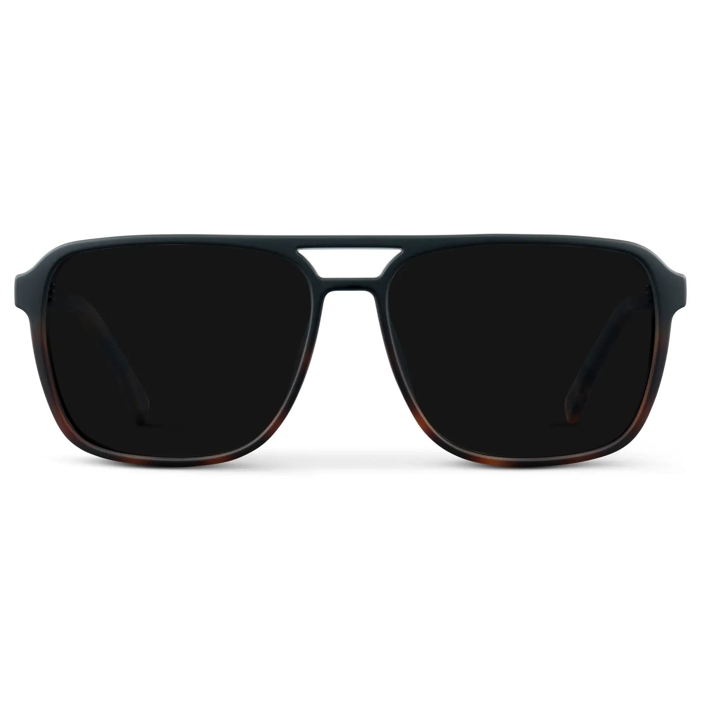 Harvey | Polarized