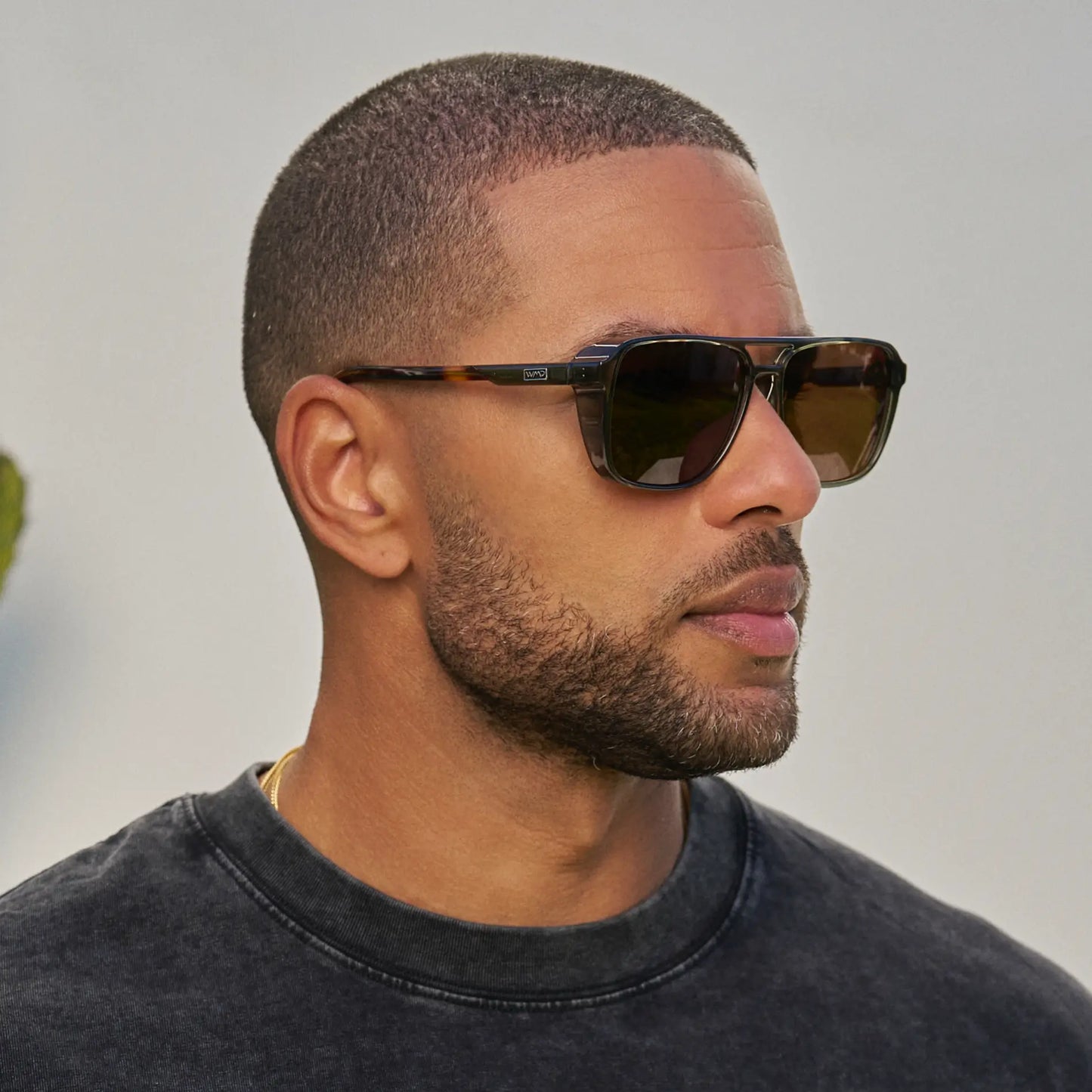 Harvey | Polarized
