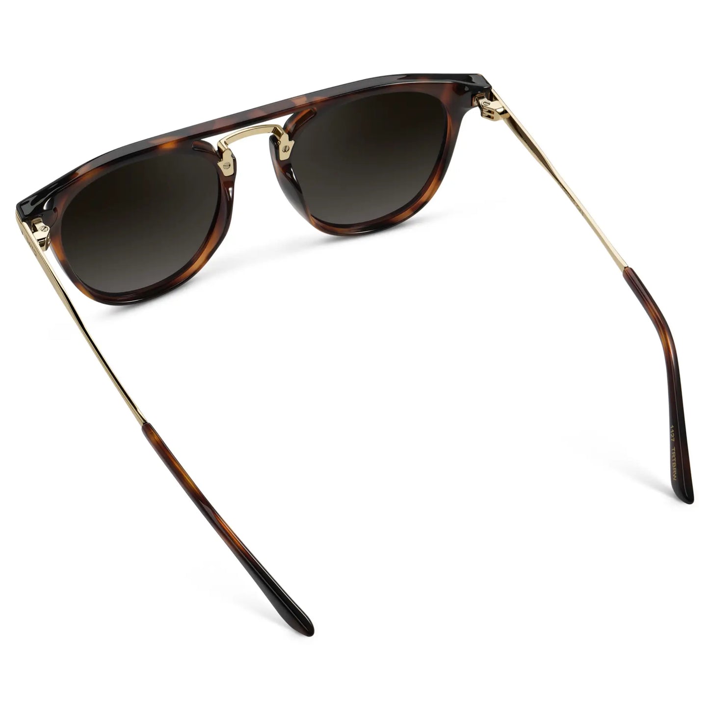Hayes | Polarized