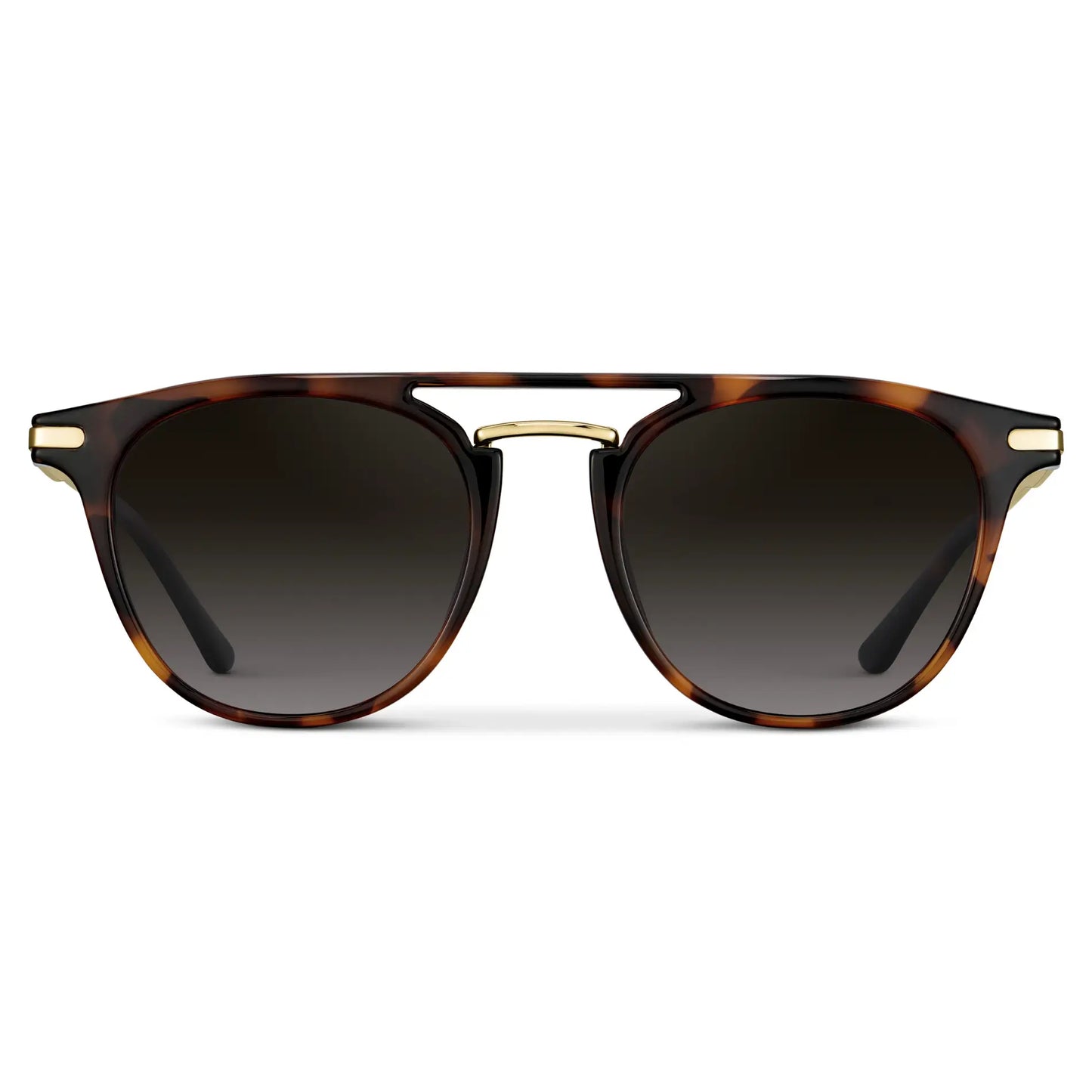 Hayes | Polarized