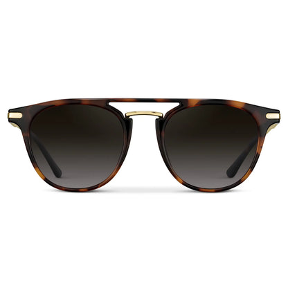 Hayes | Polarized