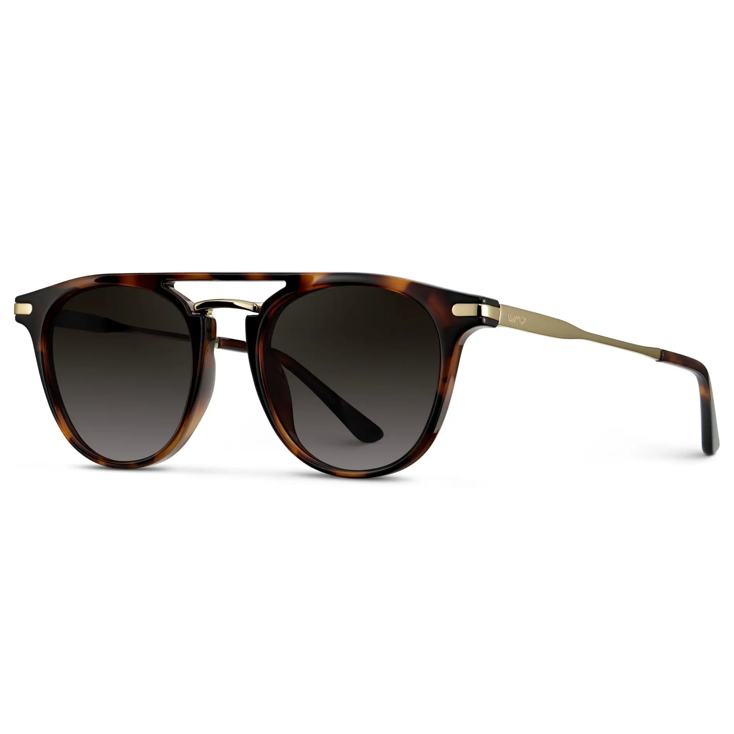 Hayes | Polarized