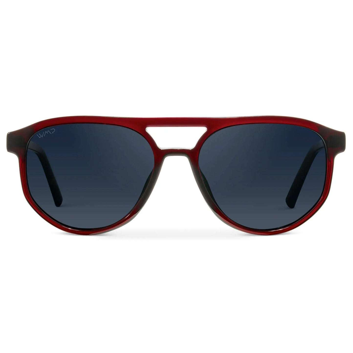 Hudson | Polarized
