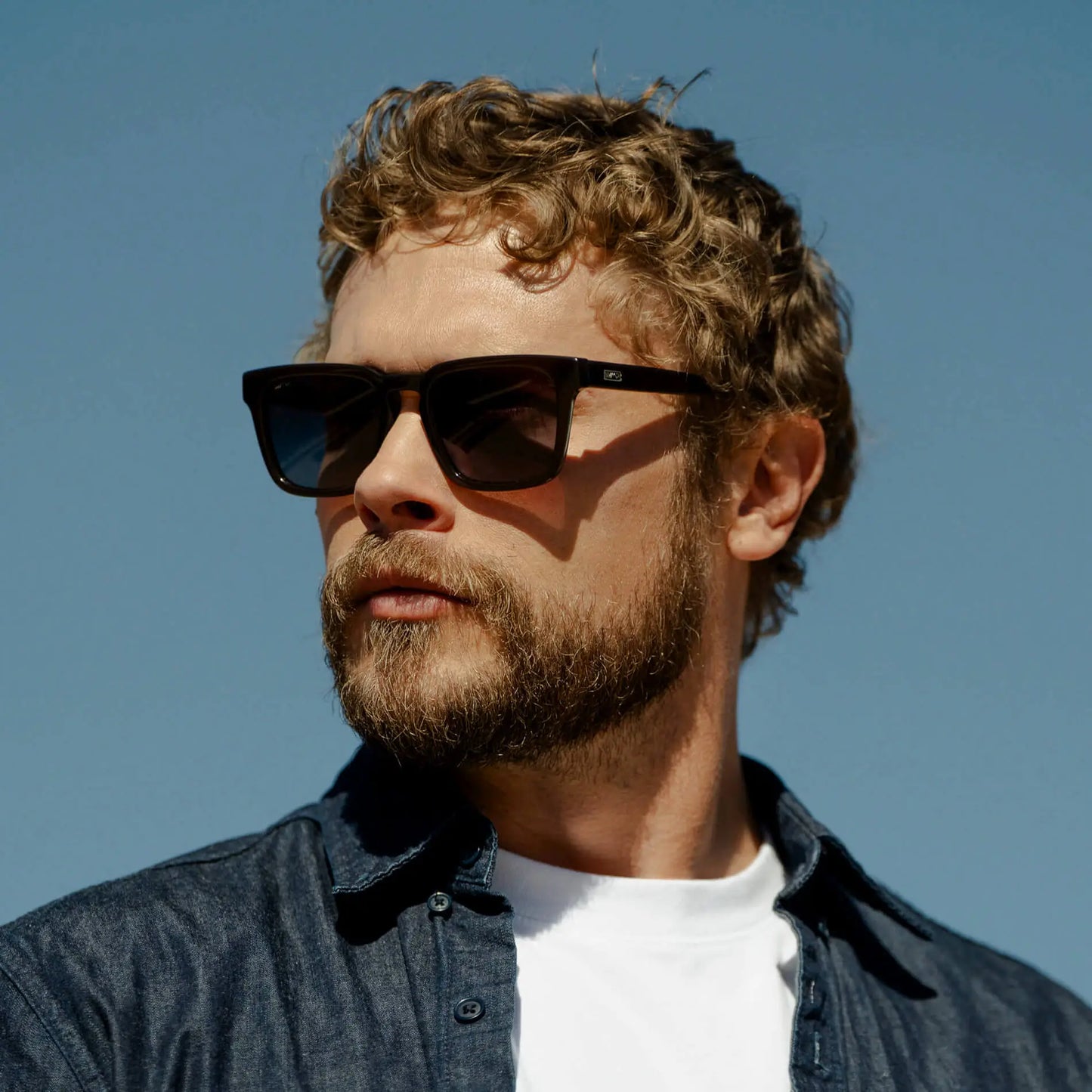 Maverick | Polarized