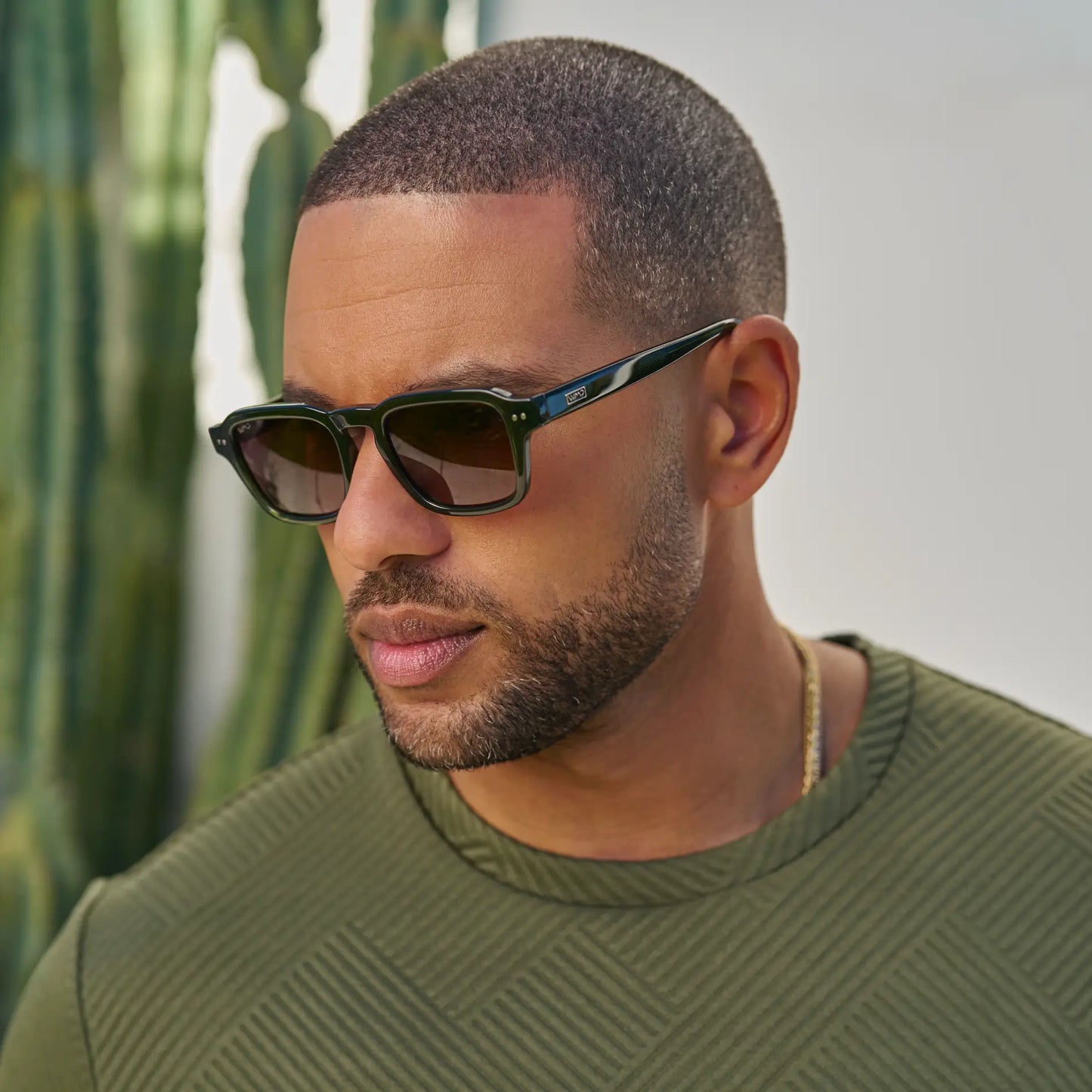 Morris | Polarized