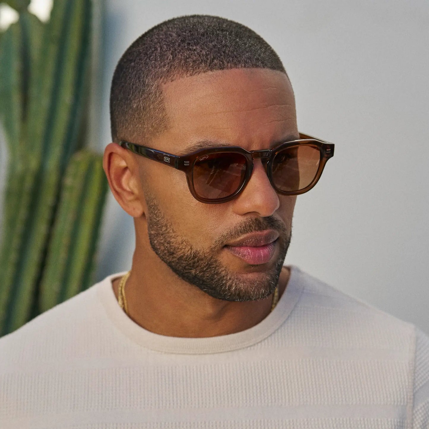 Nelson | Polarized