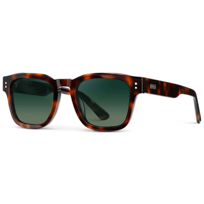 Wayne | Polarized
