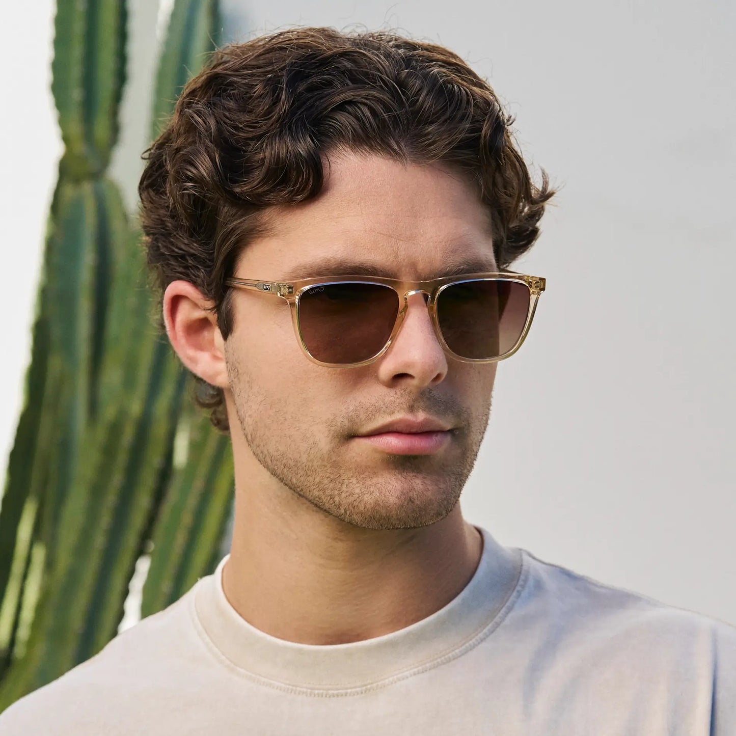 Wesley | Polarized