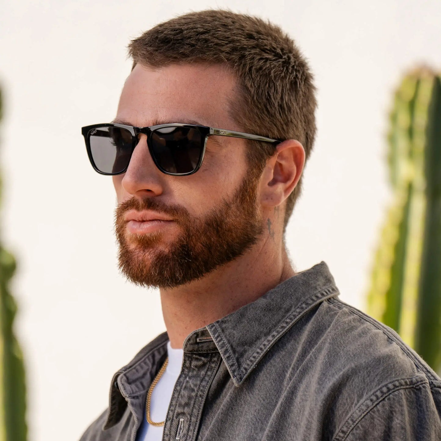 Wesley | Polarized