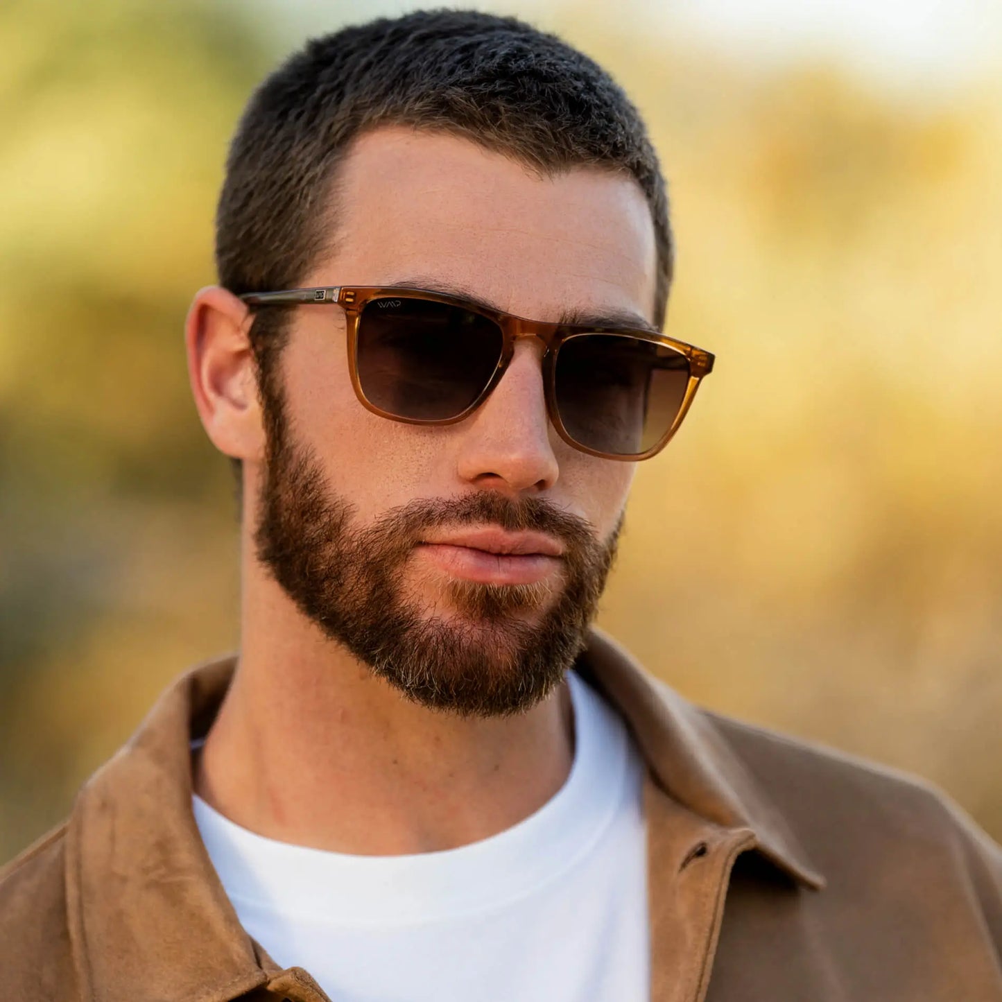 Wesley | Polarized